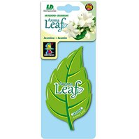 Aroma Leaf - Jasmín